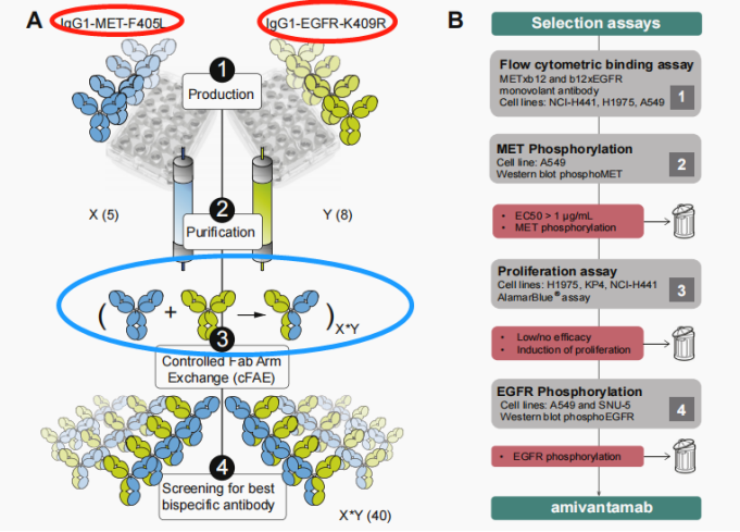 2022年終盤點 | NSCLC靶向治療之EGFR篇