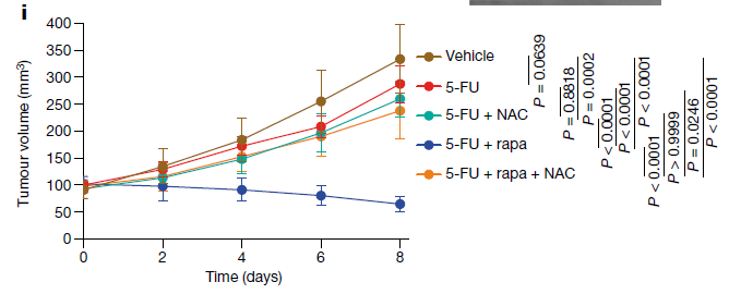 垂死癌細胞的最后一擊：釋放ATP傳遞信息，幫助臨近癌細胞產生抗藥性