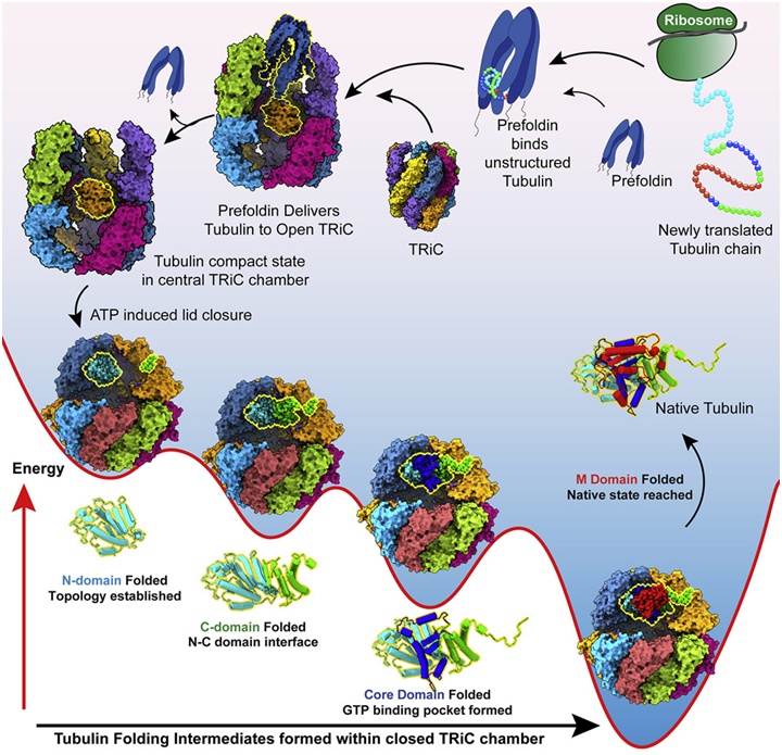 【盤點】2022年終盤點：2022年Cell期刊精華