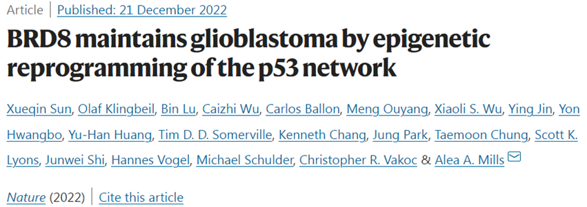 Nature：揭示膠質母細胞瘤背后的秘密，有望開發出更好的療法