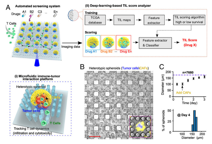 2022年終盤點：人工智能如何改善人類健康？