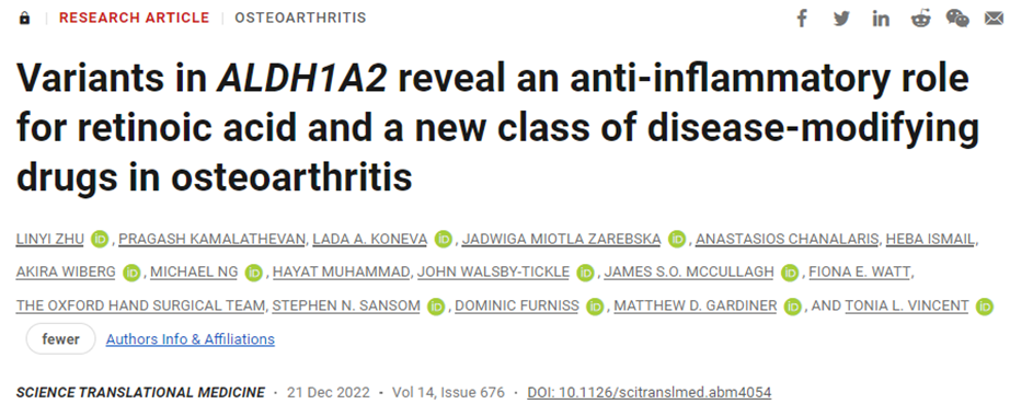 Science子刊：新研究表明他拉羅唑有望能夠預防骨關節炎