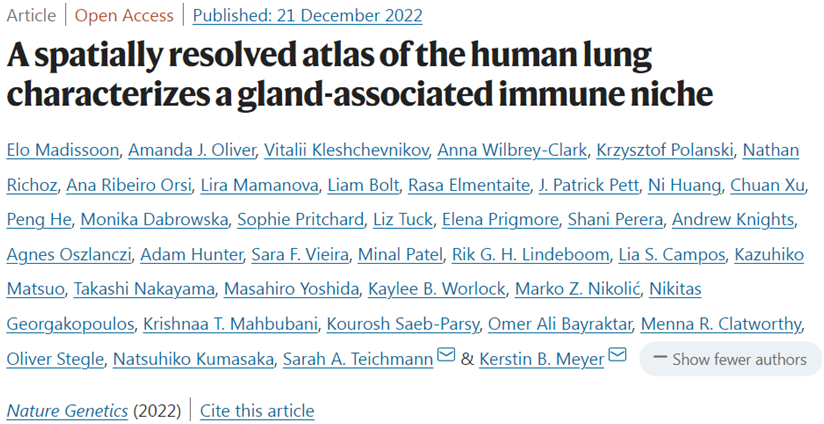 Nat Genet：構建出人體肺部的空間多組學細胞圖譜，發現了11種新的肺細胞類型