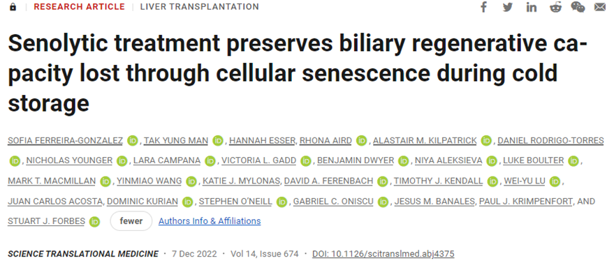 Science子刊：新研究表明senolytics藥物有望提高肝臟移植的成功率
