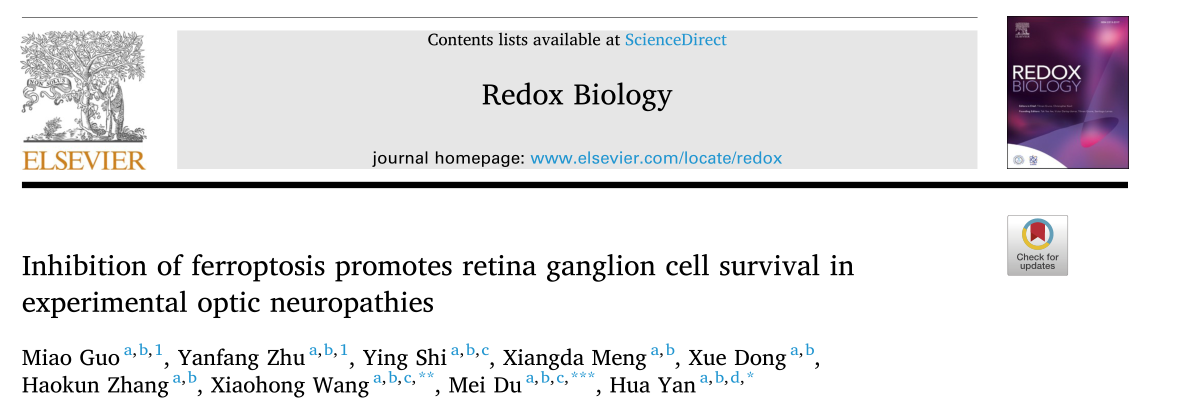 Redox Biology: 抑制鐵死亡促進實驗性視神經病變視網膜神經節細胞存活