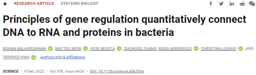 Science：改寫教科書！大腸桿菌的基因表達變化幾乎完全發生在細胞生長時的轉錄階段