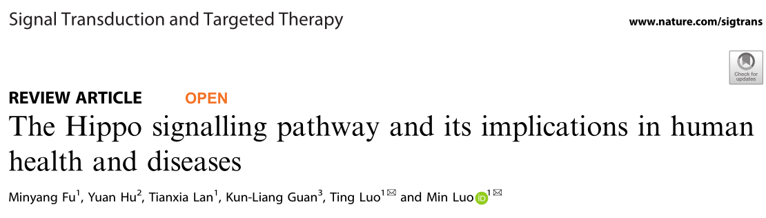 Signal Transduction and Targeted Therapy: Hippo信號通路及其在人類健康和疾病中的意義