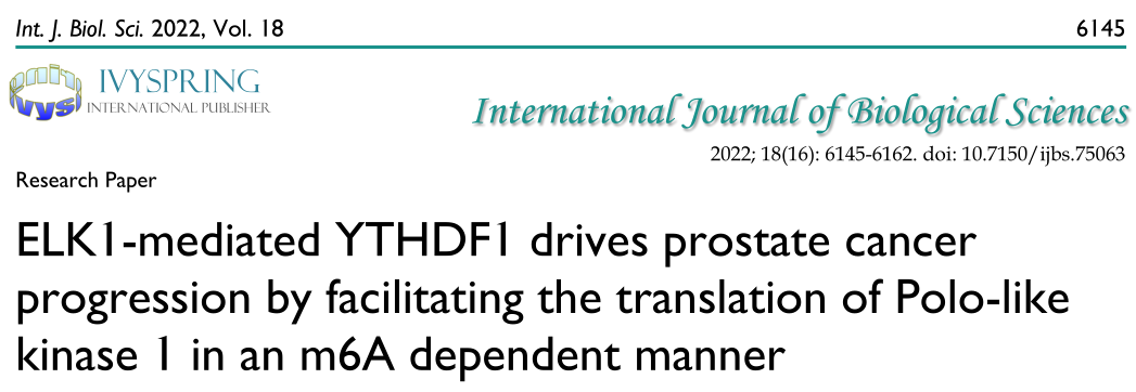 Int. J. Biol. Sci: ELK1/YTHDF1/PLK1/PI3K/AKT軸可能成為前列腺癌治療的潛在靶點