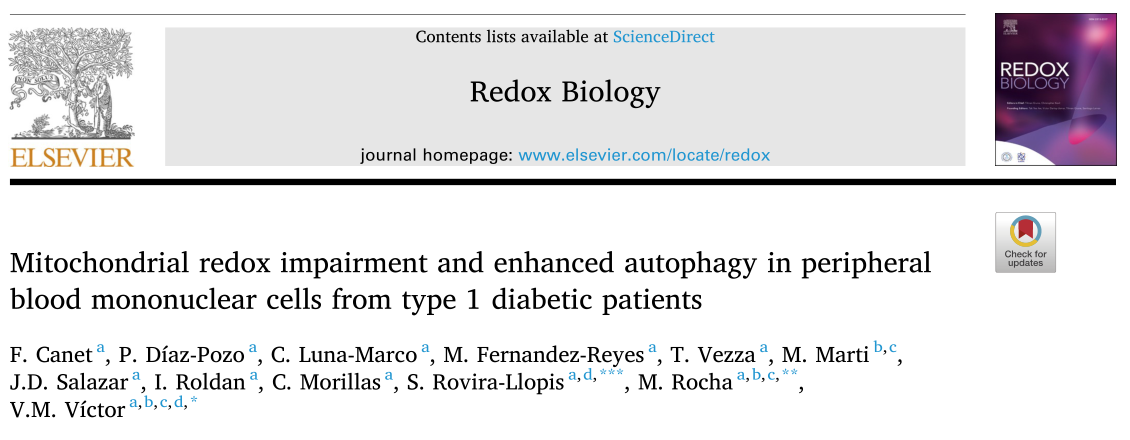 Redox Biology : I型糖尿病損害了線粒體的功能，促進了白細胞的氧化應激和自噬