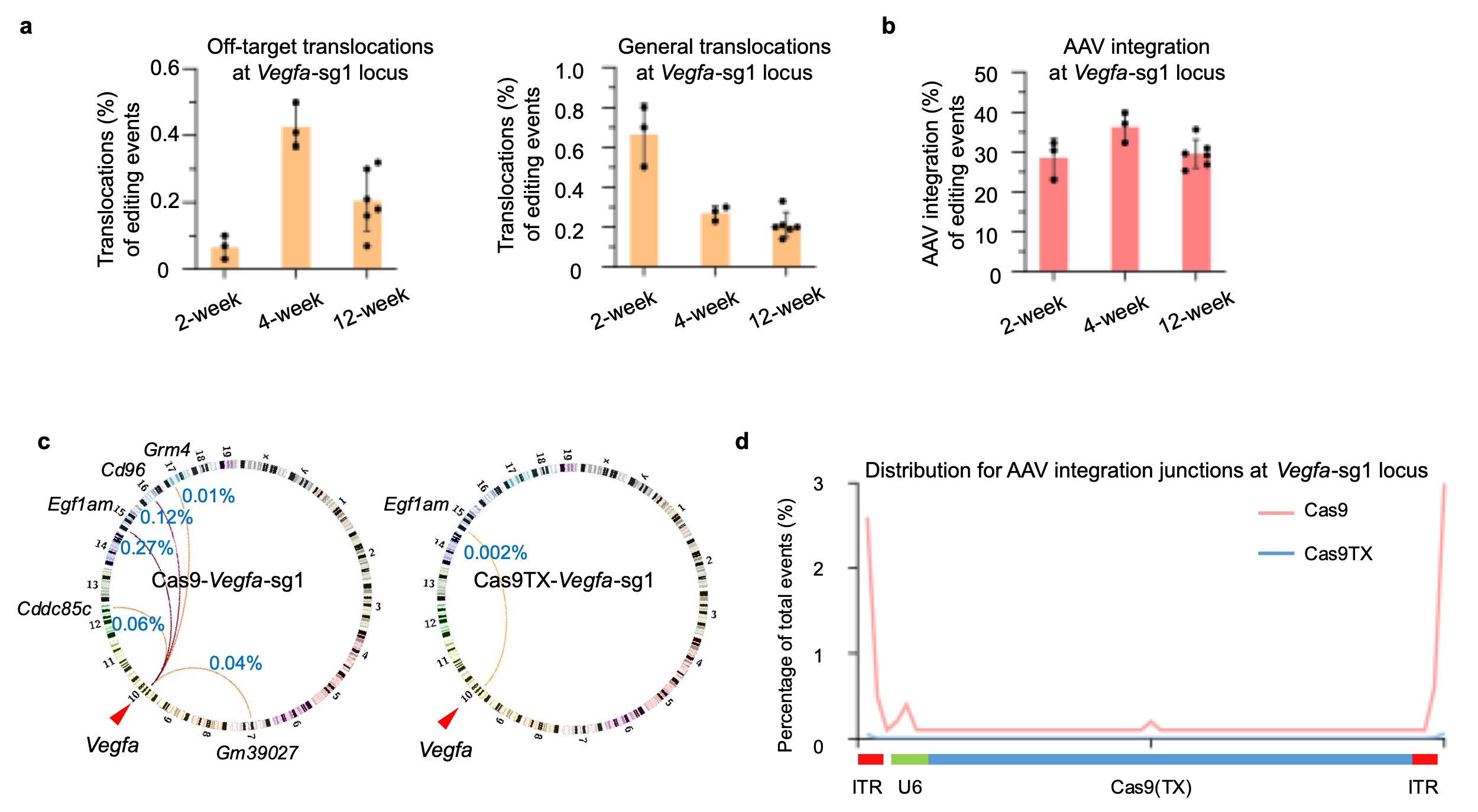 Nature Communications:利用Cas9TX在年齡性黃斑病變小鼠模型中實現高效且安全的基因編輯