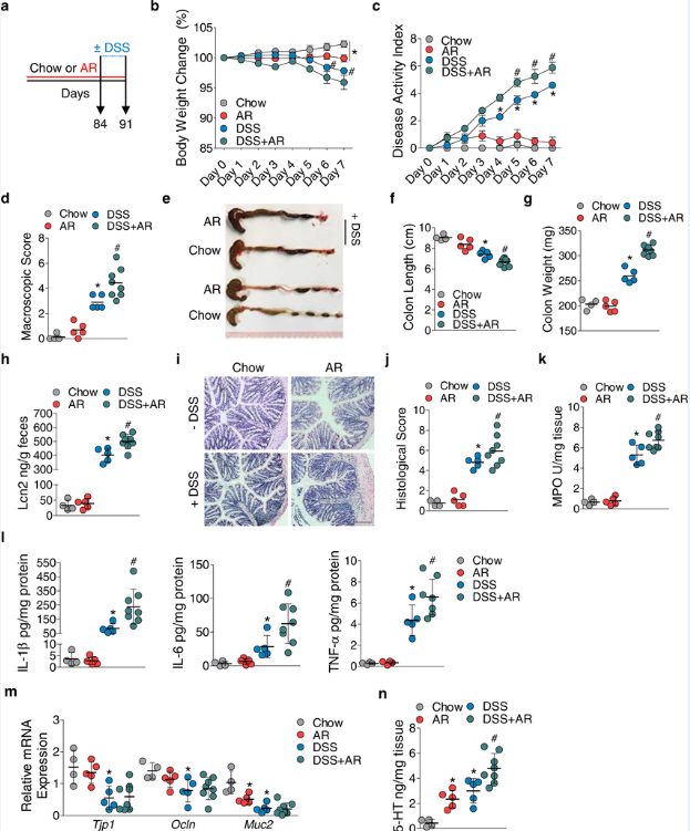 Nat Commun：常見的食物染料誘惑紅或會誘發人類炎性腸病的發生