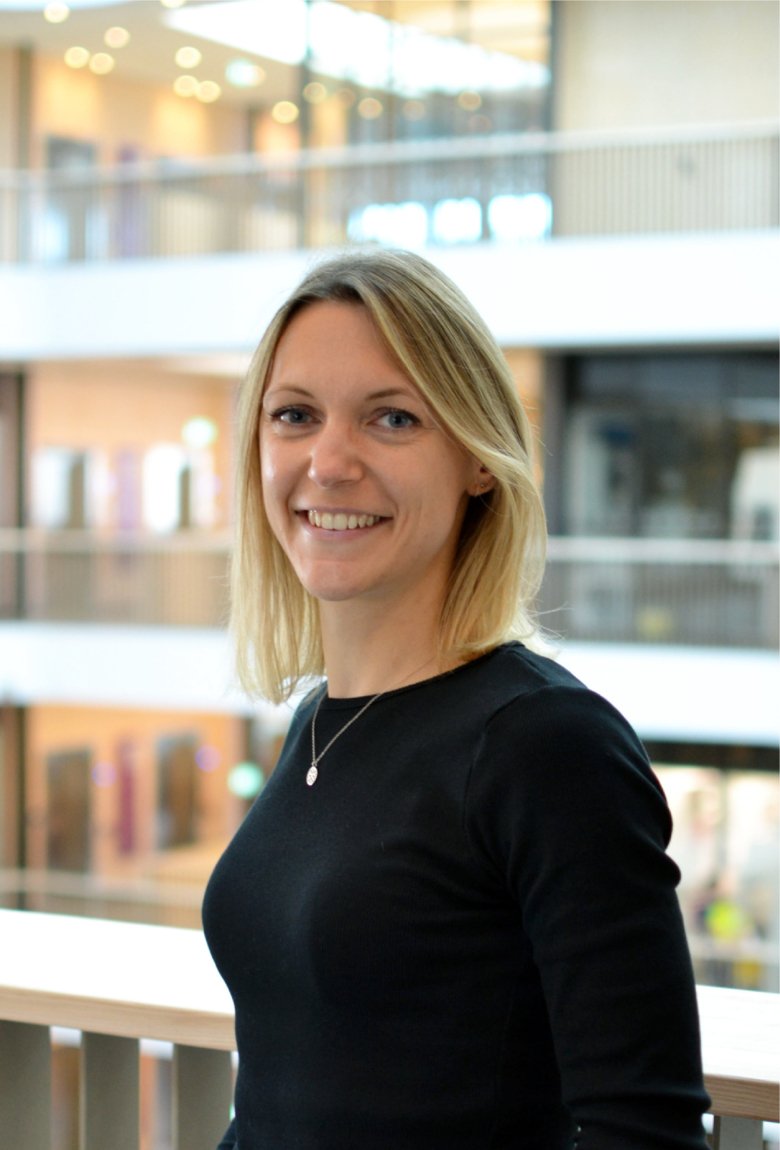 線粒體基本過程的新見解