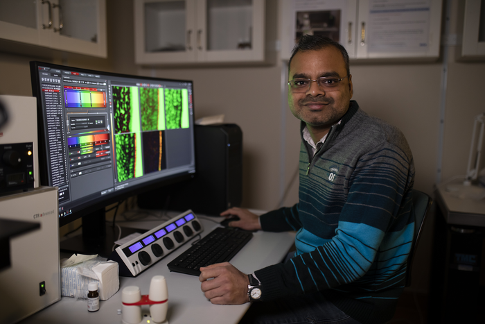 一種以前未知的細胞成分：對嗅覺具有重要意義的新細胞成分