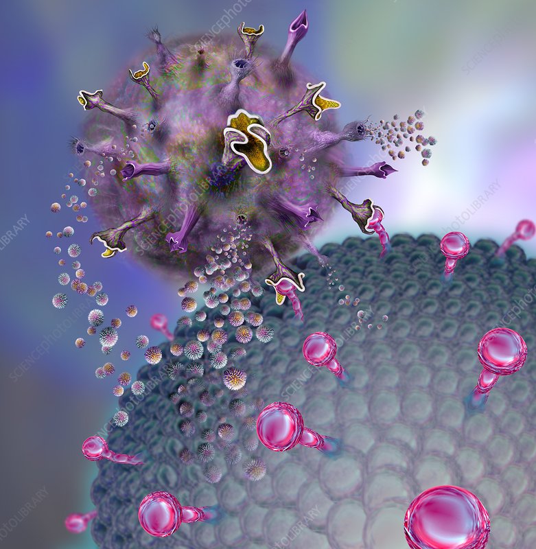 2022年最受關注的癌癥研究